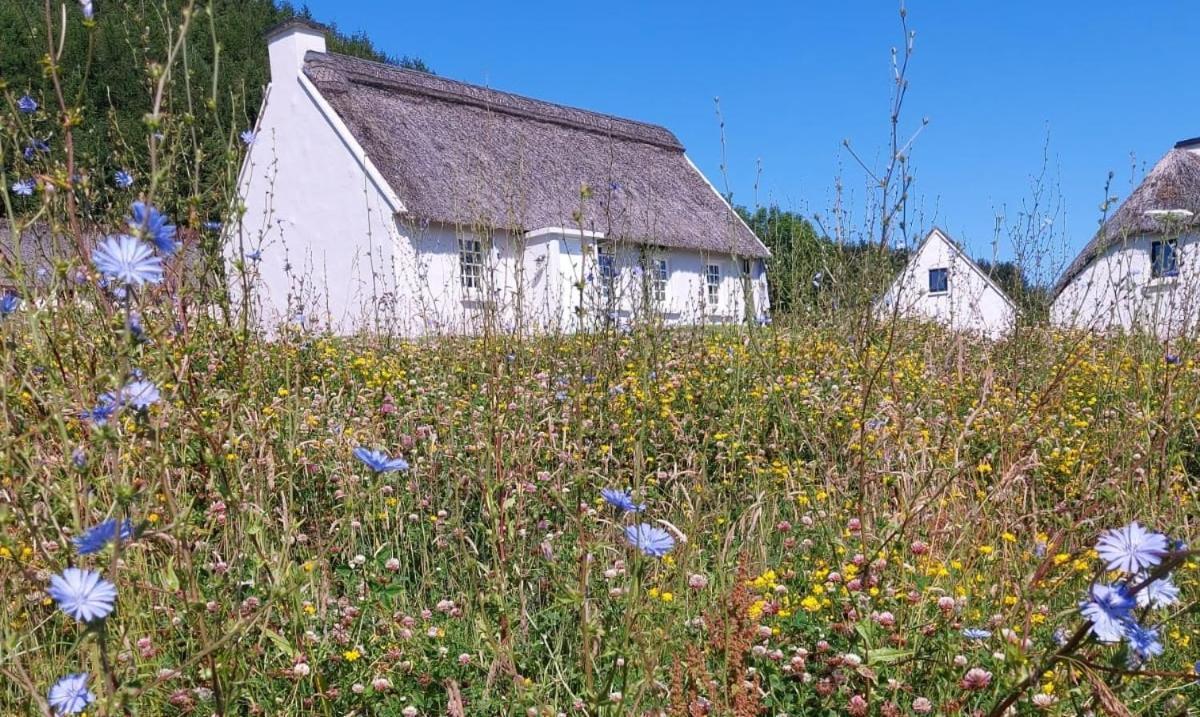 Corofin Lake Cottages エクステリア 写真